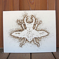 Stag Beetle by Rachel Lambert