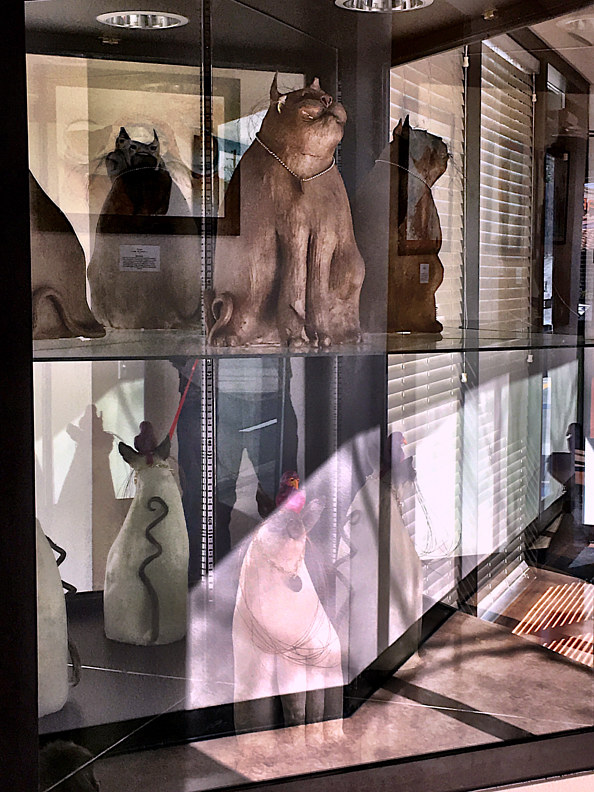 cat1 by Richard  Ashby