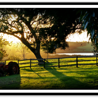 //images.artistrunwebsite.com/gallery/img_2660211534301965_large.png?1534301987