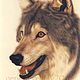 Dessin de loup, 2005  by Genevieve Desy