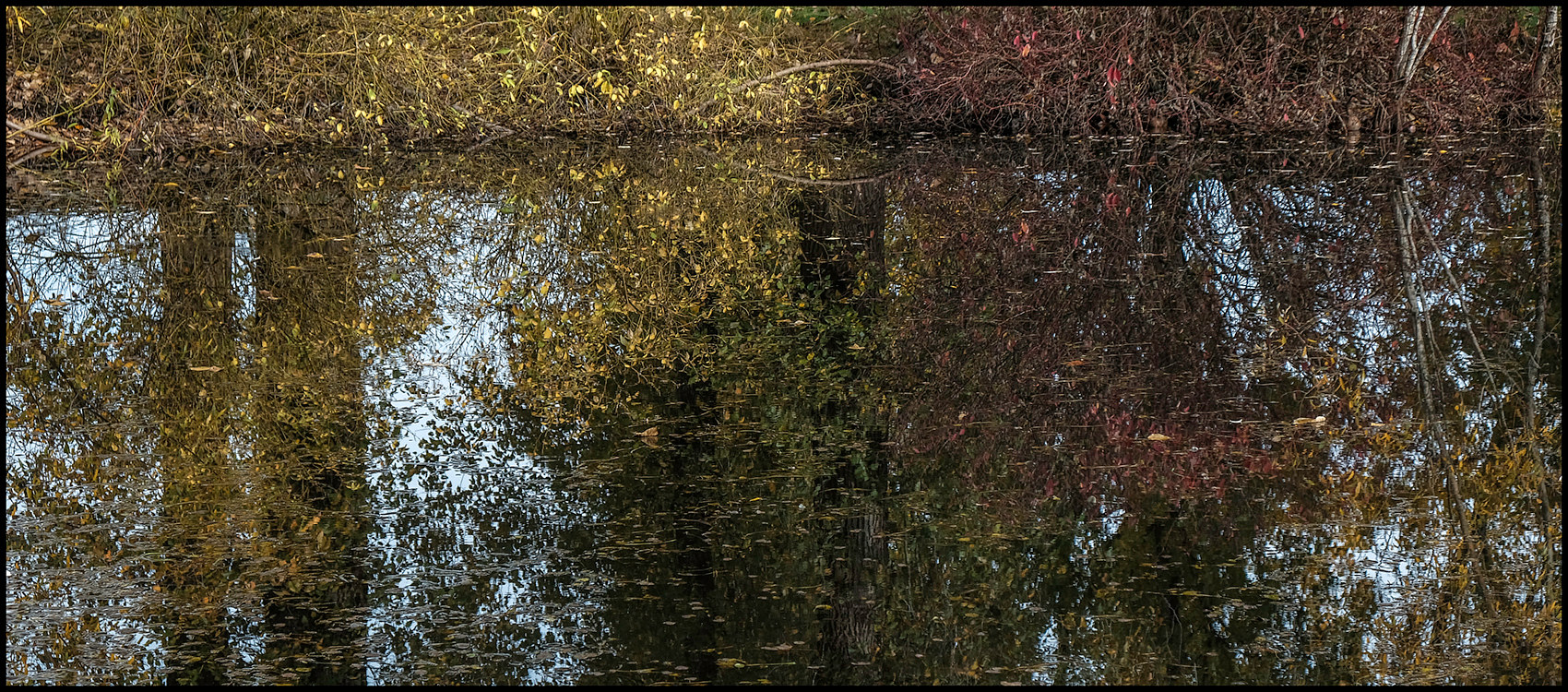 CCCC1482 Pond #4 by Jim Friesen