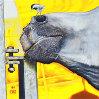 That Darn Itch by Ron Straight