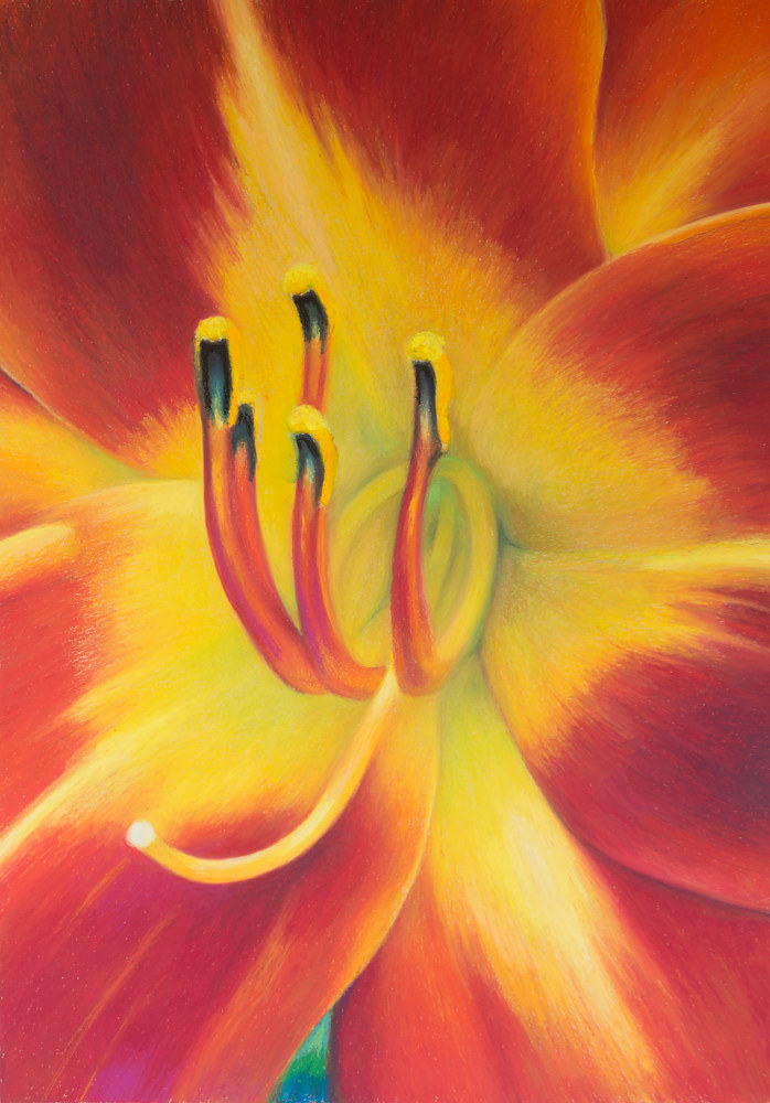 Oil painting Day Lily by Raymond Noesen