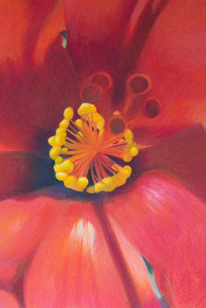 Oil painting Hibiscus by Raymond Noesen