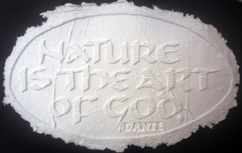 Drawing Nature is the Art of God by Michele Barnes