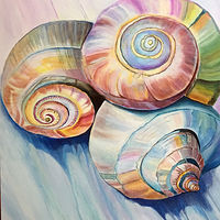 Seashells by Carmen Estrada