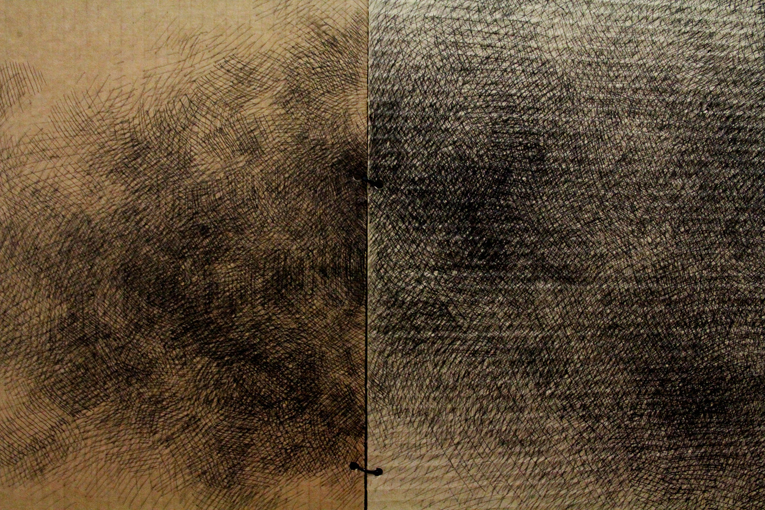 Drawing Continental Connections (Deportation Wouldn't Take Me Home Either) (detail view III) by Sidi Chen