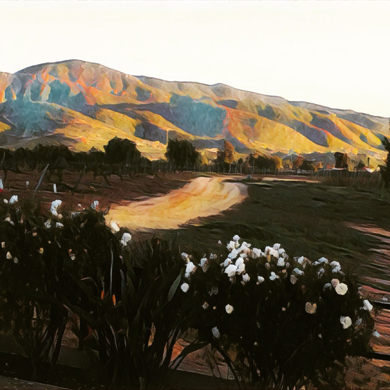 Valle/Baja by Deborah J Gorman