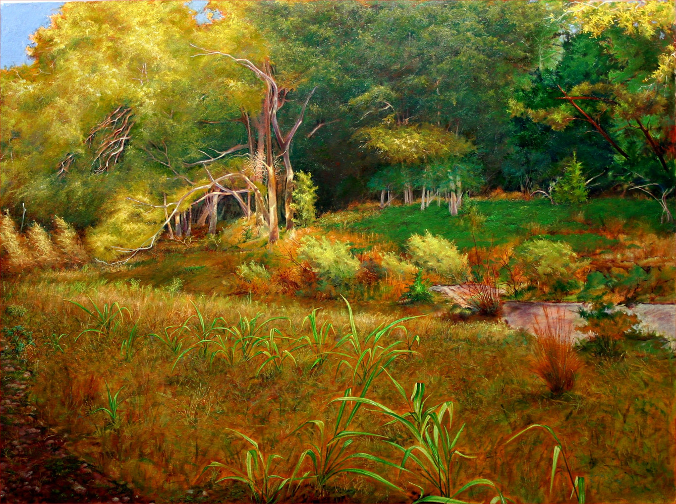 Just Off the San Gabriel Trail, Georgetown, Texas 30x40 by Gary Nowlin
