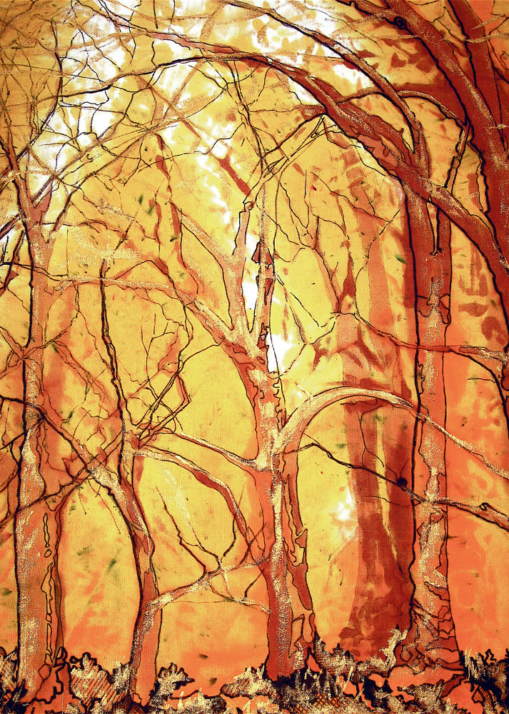 Sunlit Forest  by Jeanie Auseon