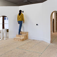 2020 Looking at a Naked Man - Christina A. West