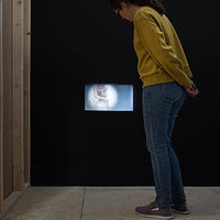 2020 Looking at a Naked Man - Christina A. West