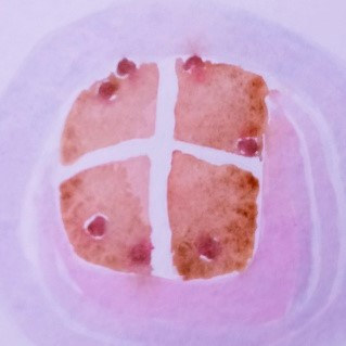 Painting Hot Cross Bun, remembering Christ by Gwenda  Branjerdporn