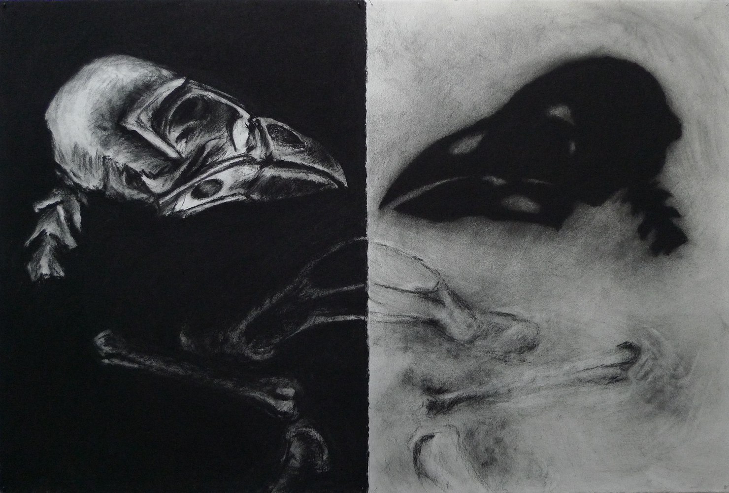 Drawing Vestiges, Bird, Installation by Pamela  Speight 