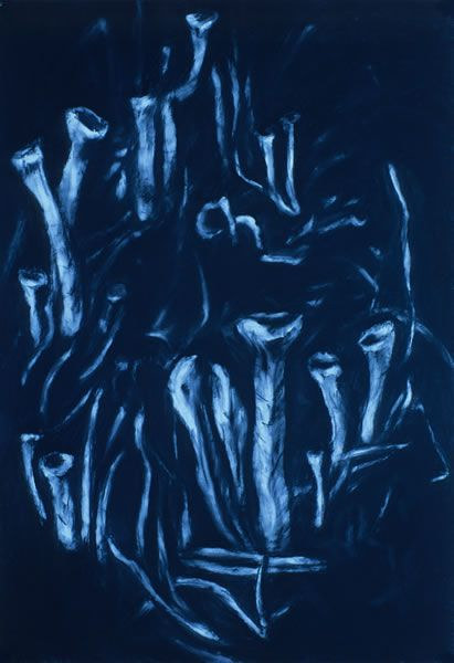 Drawing Northern Drawing IV by Pamela  Speight 
