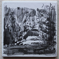 Drawing Thoms Mountain, Evening  by Harry Stooshinoff