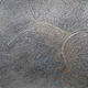 Oil painting Opportunists Fauna, Helix aspersa (Common Snail) by Pamela  Speight 