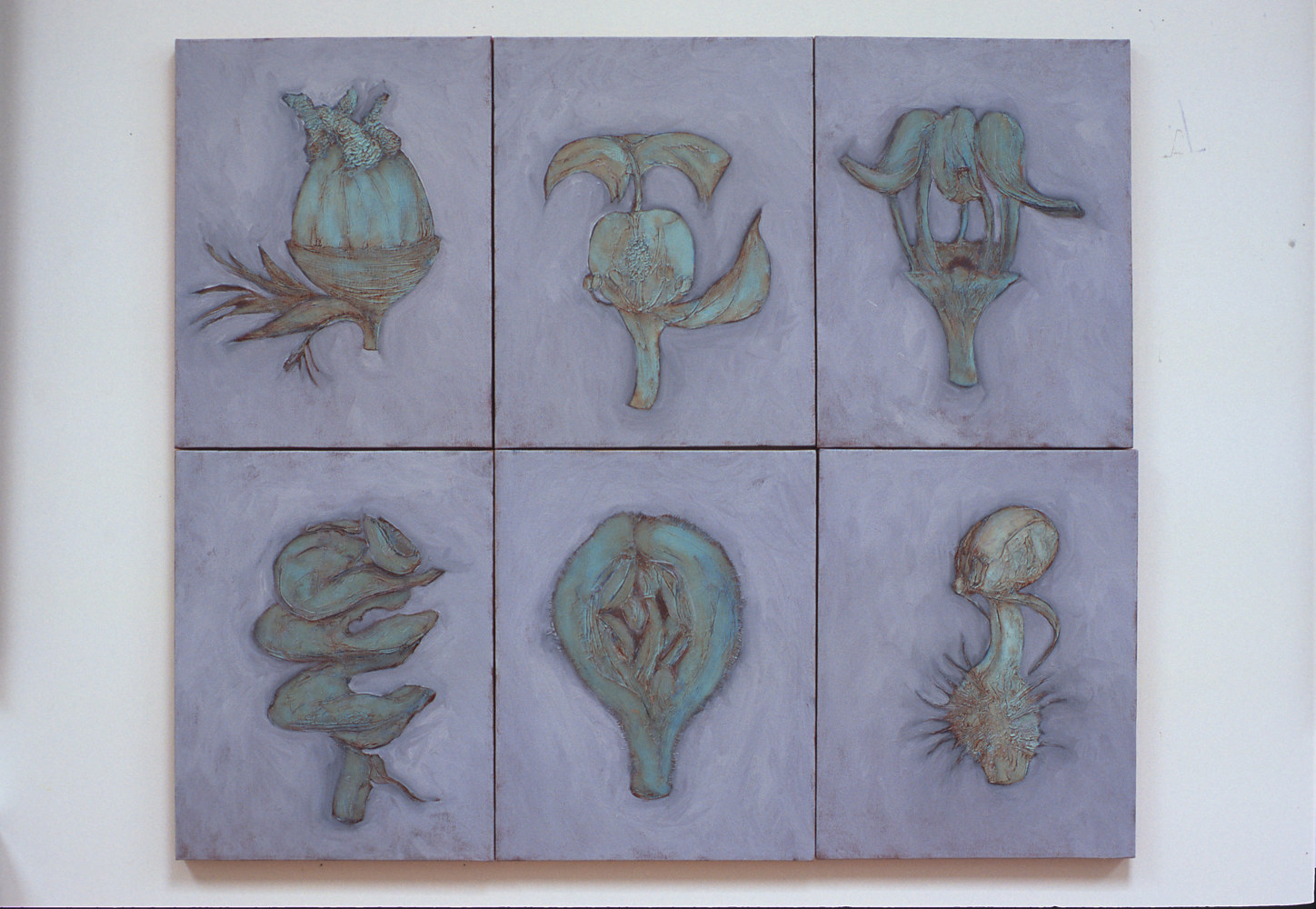 Oil painting Biologia, installation by Pamela  Speight 