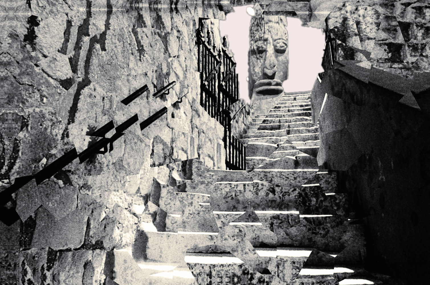 Photography Dreaming of Trying to Escape by Pamela Pitt