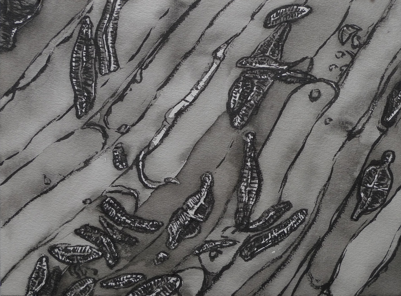 Drawing Study in Brush and Ink 17 by Pamela  Speight 