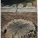 Oil painting Valley Oak Stump, Mooney Grove by Amie Rangel