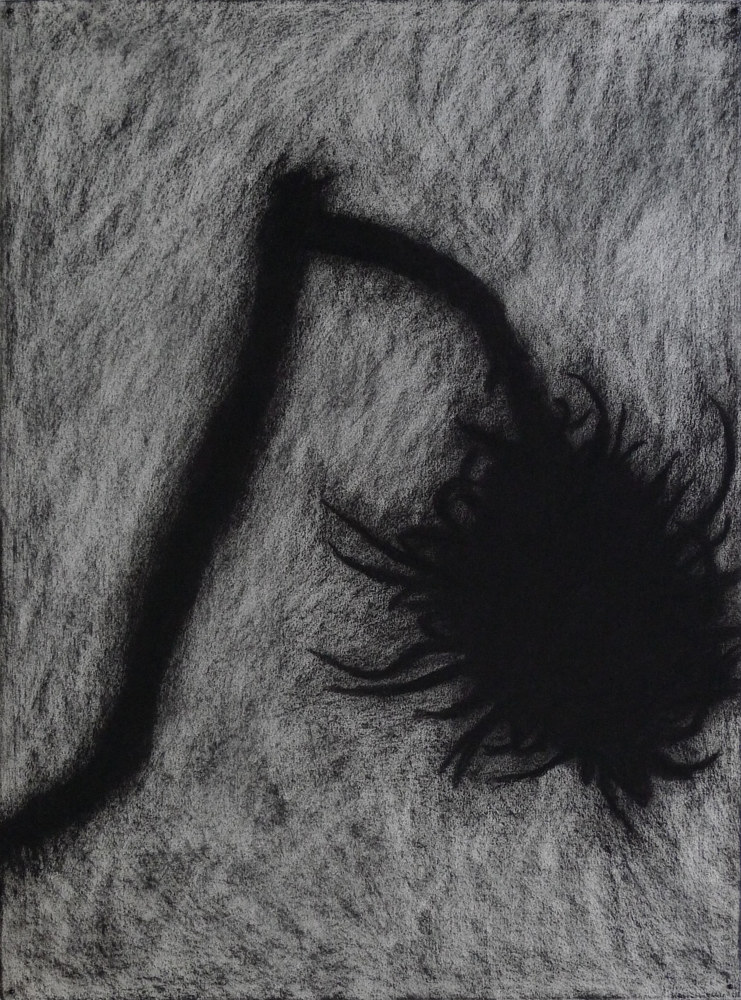 Drawing Vestiges, Spiky Pods 2 by Pamela  Speight 