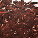 Drawing Airborne 7 by Pamela  Speight 