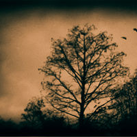 FebruarySkys-7_WL02_0605BWT by Gary Jones