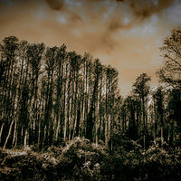 FebruarySkys-8_WL02_0569BWT by Gary Jones