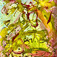 Acrylic painting Inversal 23 by Jonathan  Hertzel
