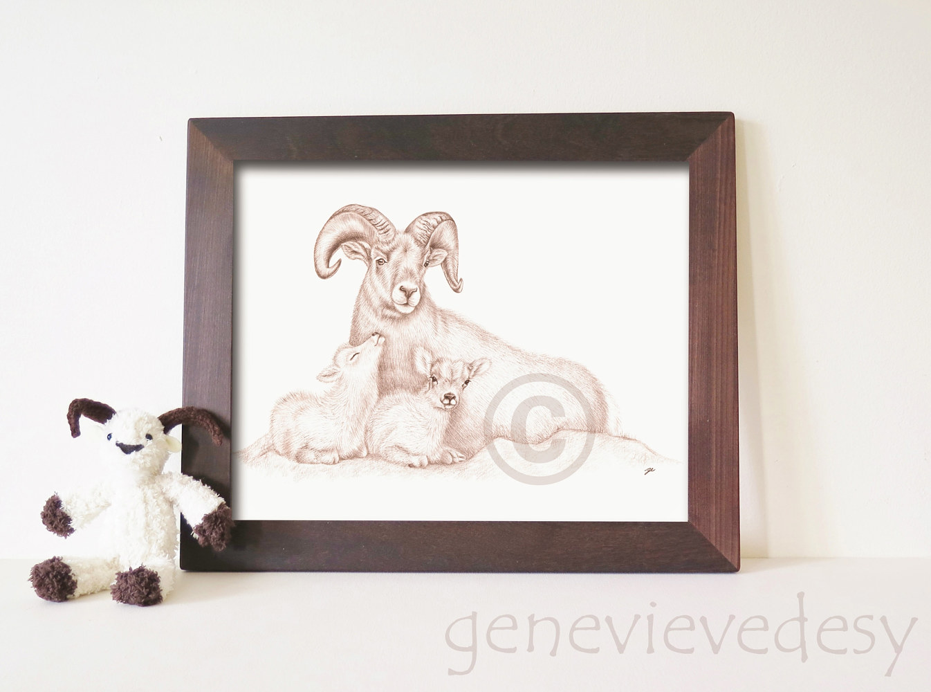 Dessin de mouflons des montagnes en format numérique 11 x 14 by Genevieve Desy