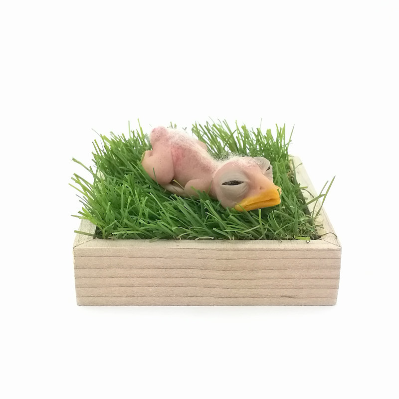 bird box by Matthew  Dercole