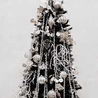 DSC_1540 by Jacqueline Janecke