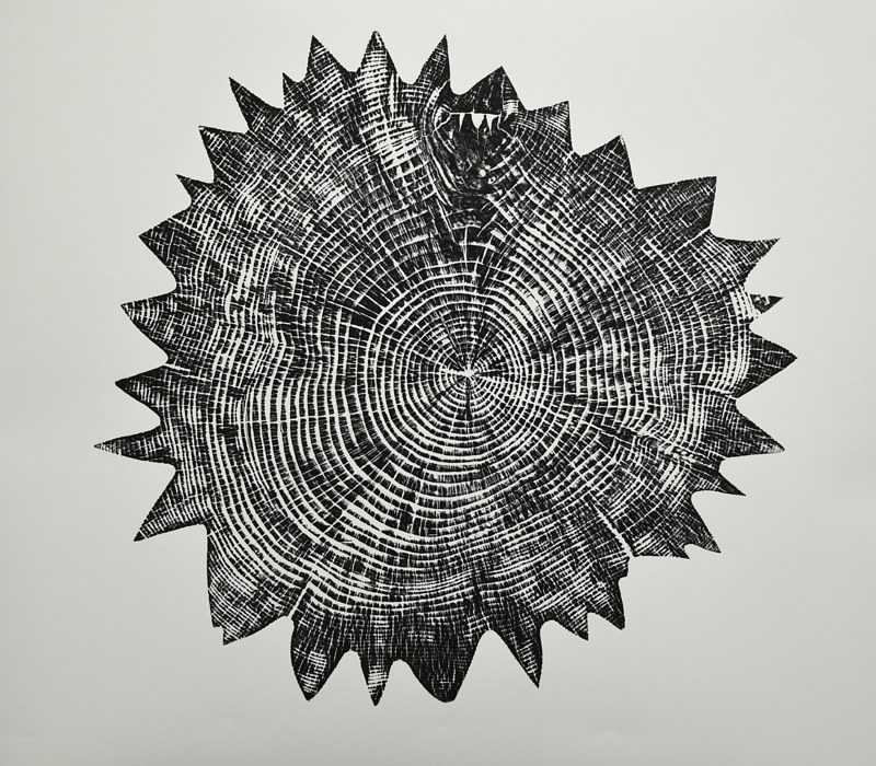 Drawing The Big Bang by Troy Nickle