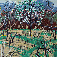 Drawing Darlington Blossoms by Harry Stooshinoff