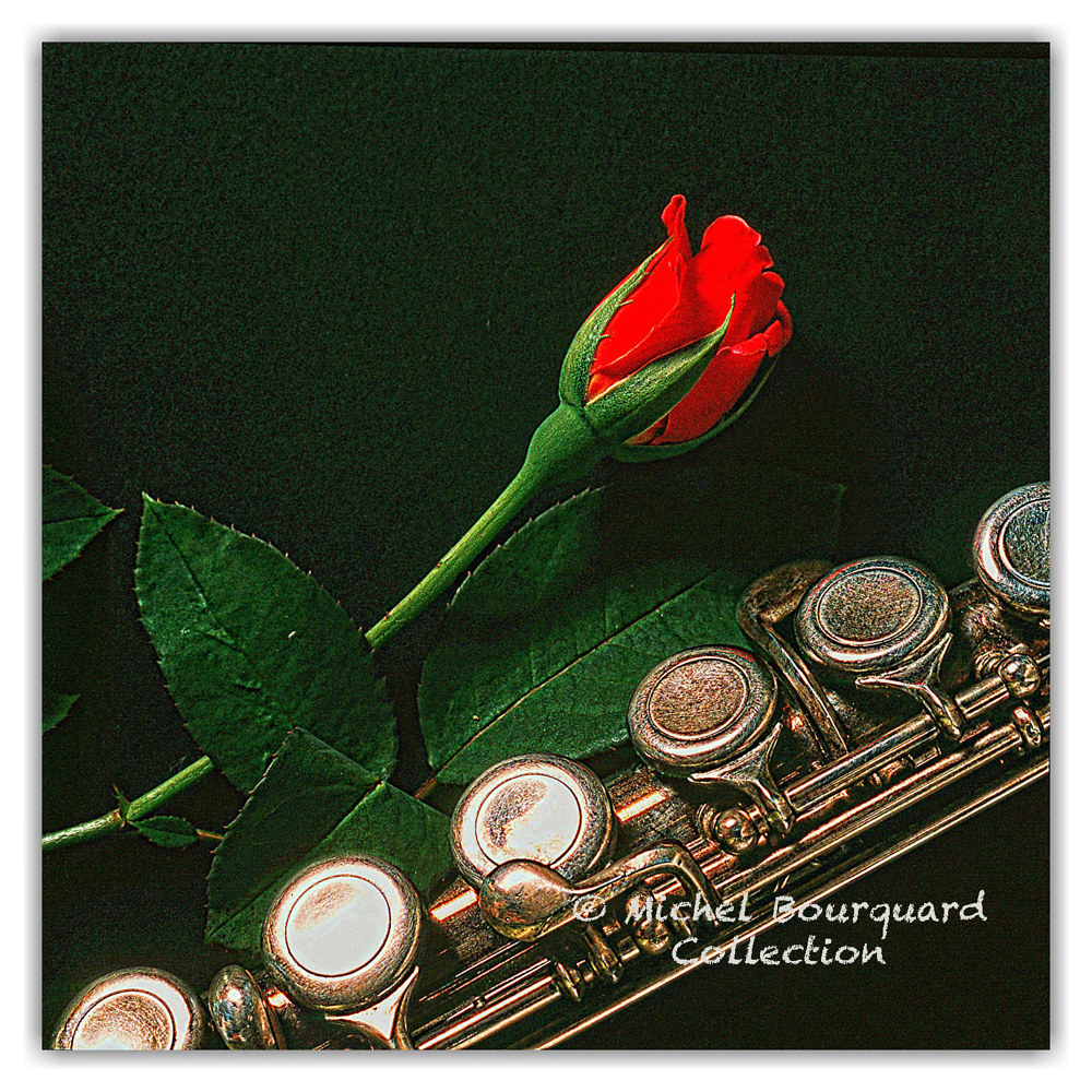 066-The Flute &amp; la Rose  12x12x200 by Michel Bourquard