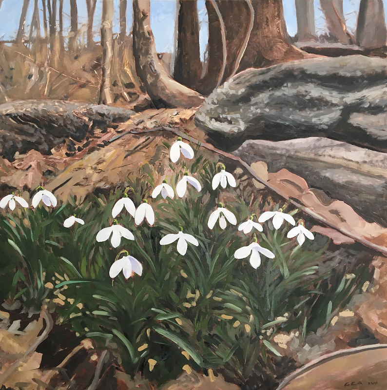 Oil painting Snowdrops Wissahickon  by Ginger Arthur