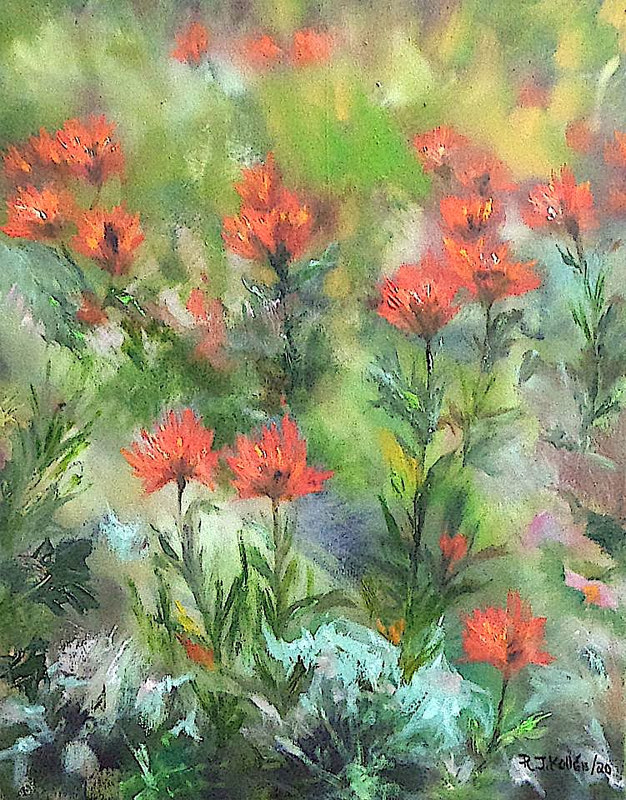 Indian Paint Brush Jeanne Kollée