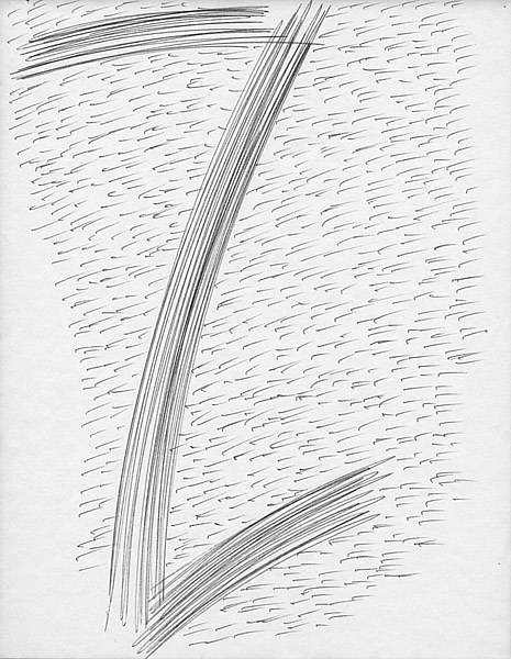 Z by Patricia Autenrieth