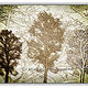 026 trees light by Michel Bourquard