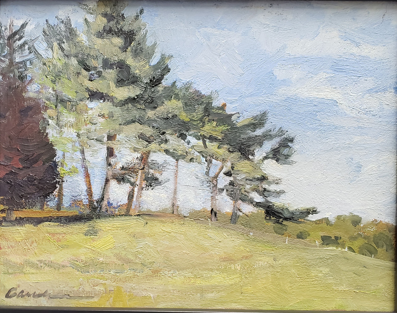 Wind Blown Pines. 9x12 oil  by Michael Gaudreau