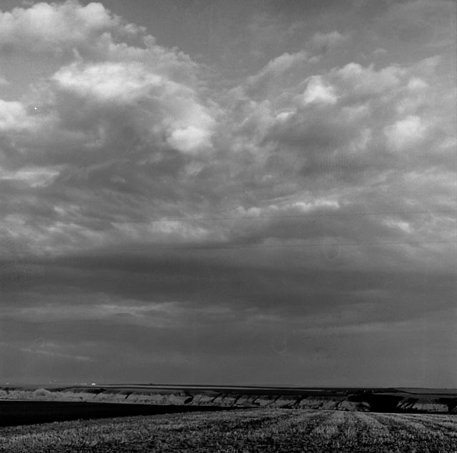 Horizon  by Susan Martin