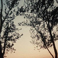 Drawing This moment an endurance to the end forever, 2020 by Tanya  Lukin-linklater