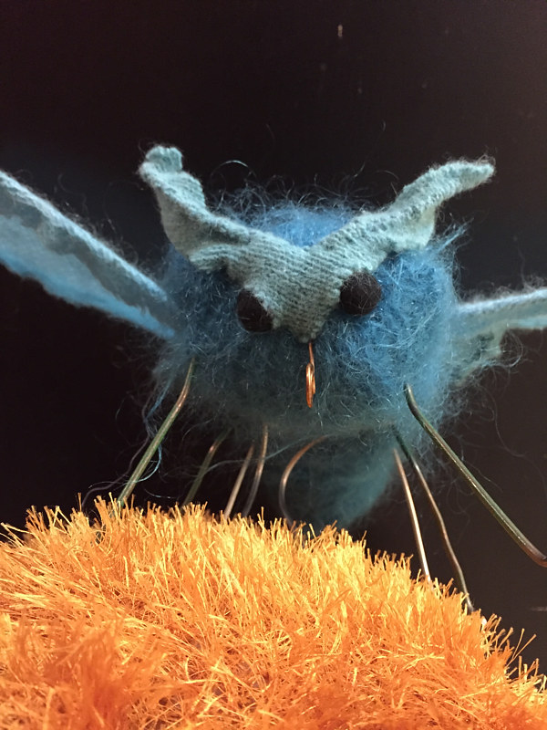 Blue Moth - Amber MacGregor - Artist