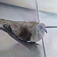 Oil painting My lunch Buddy by Timothy Innamorato