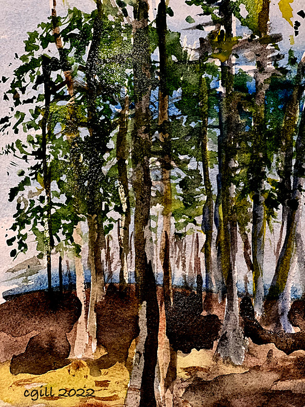 pine grove by Chris  Gill
