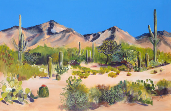 Acrylic painting Sabino Canyon with bobcat by Madeline Shea