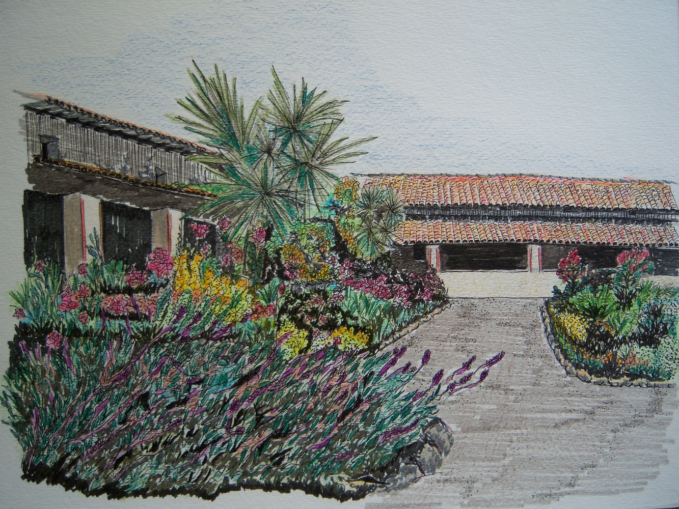 Watercolor &nbsp; by Melissa Kenyon Mcintyre