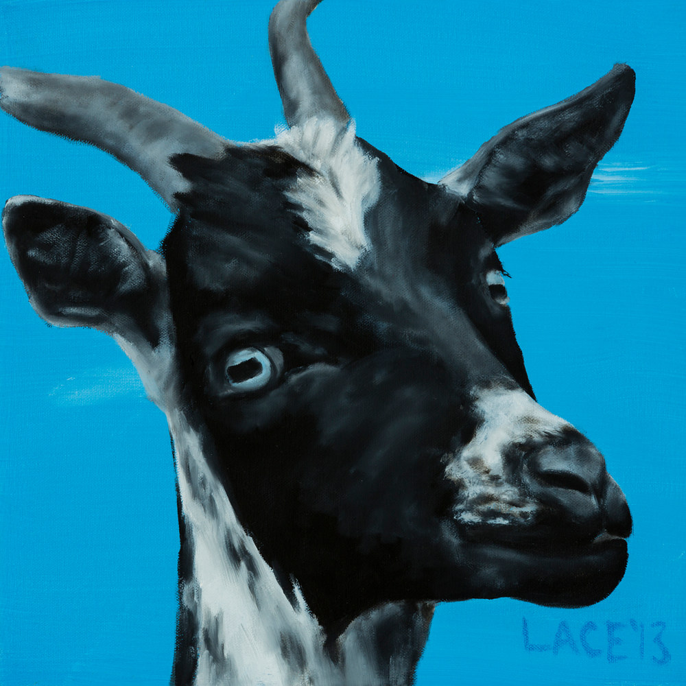 Oil painting B&amp;W Goat 2013 by John Lace