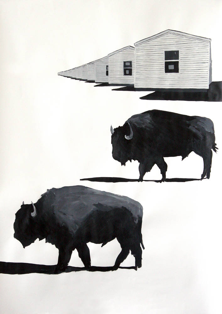 "Bison" 2006. Acrylic on paper. 72 x 100 cm by Belinda Harrow